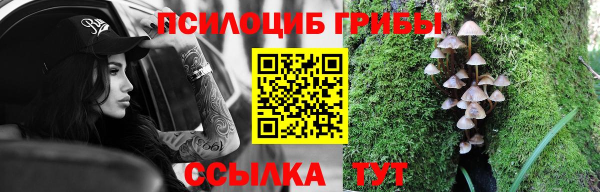 Псилоцибиновые грибы прущие грибы  цена наркотик  Бугульма  Вход с VPN 