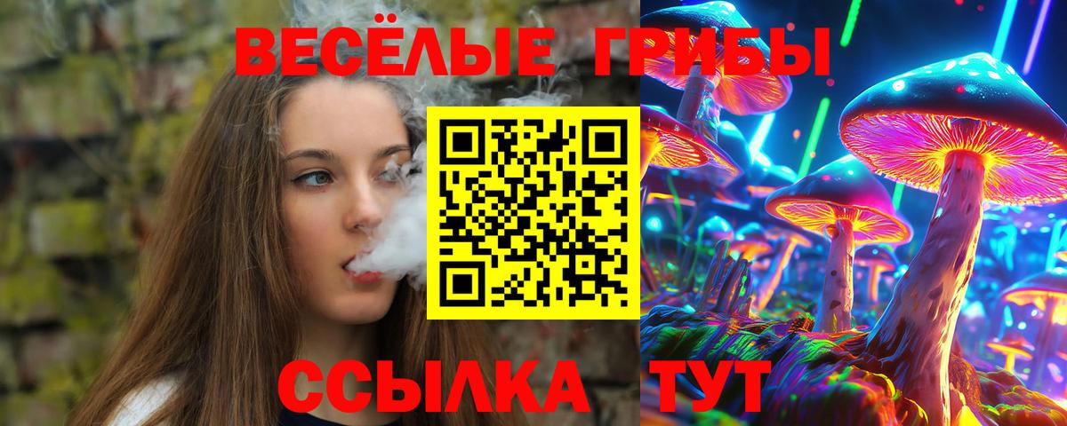 Псилоцибиновые грибы Cubensis Бугульма